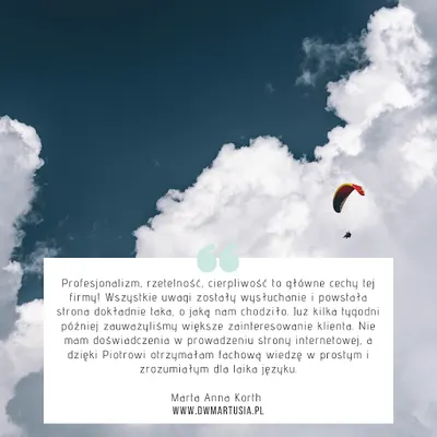 Blue Mint | Agencja marketingowa | Strony WWW | Reklama | Digital marketing